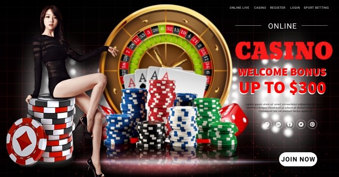 dgd333